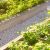 Koolfog Donates Misting System to Planned Community Garden